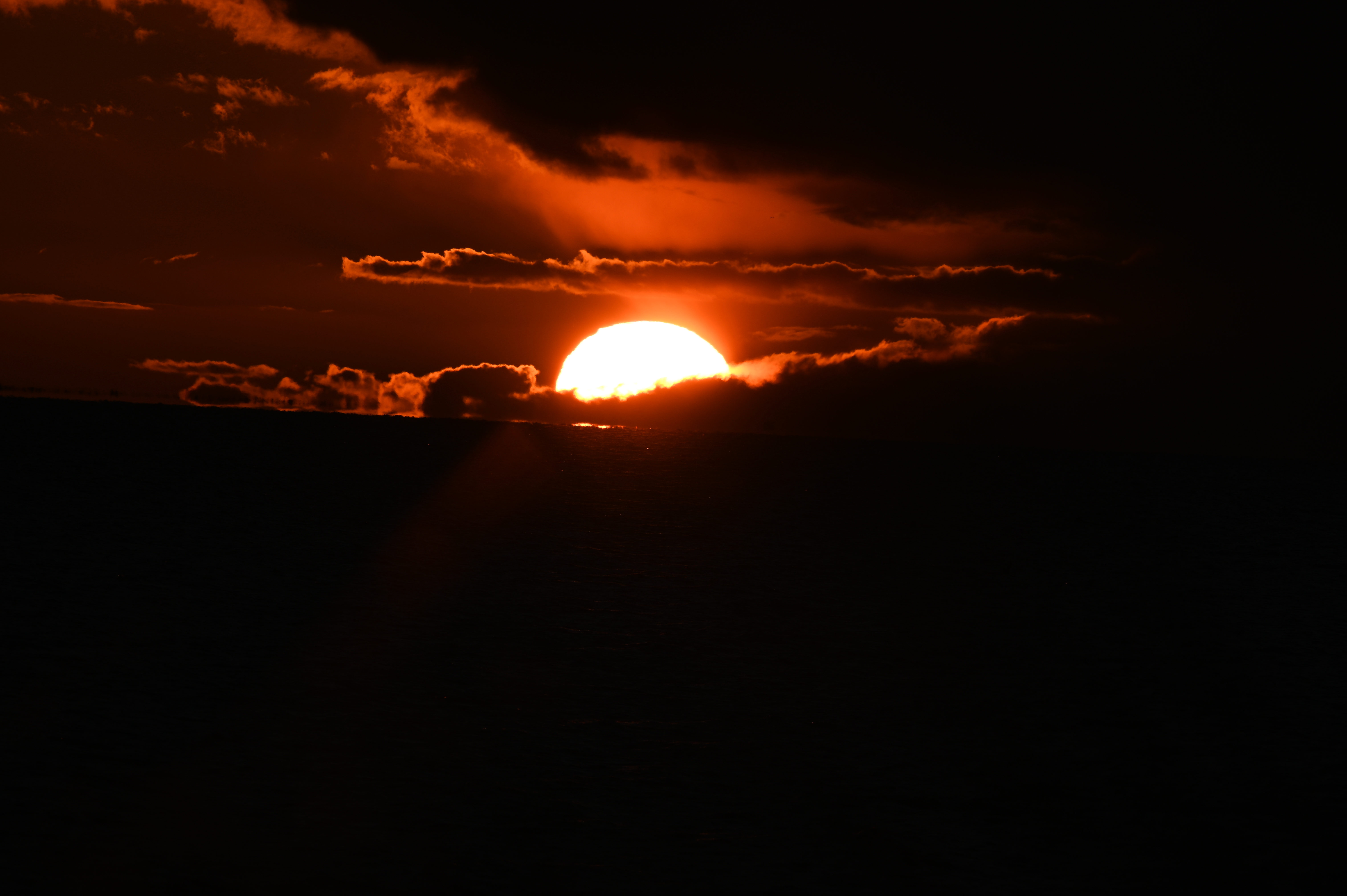 2025/10/18 - walk/DSC_0482.JPG